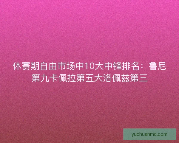 休赛期自由市场中10大中锋排名：鲁尼第九卡佩拉第五大洛佩兹第三
